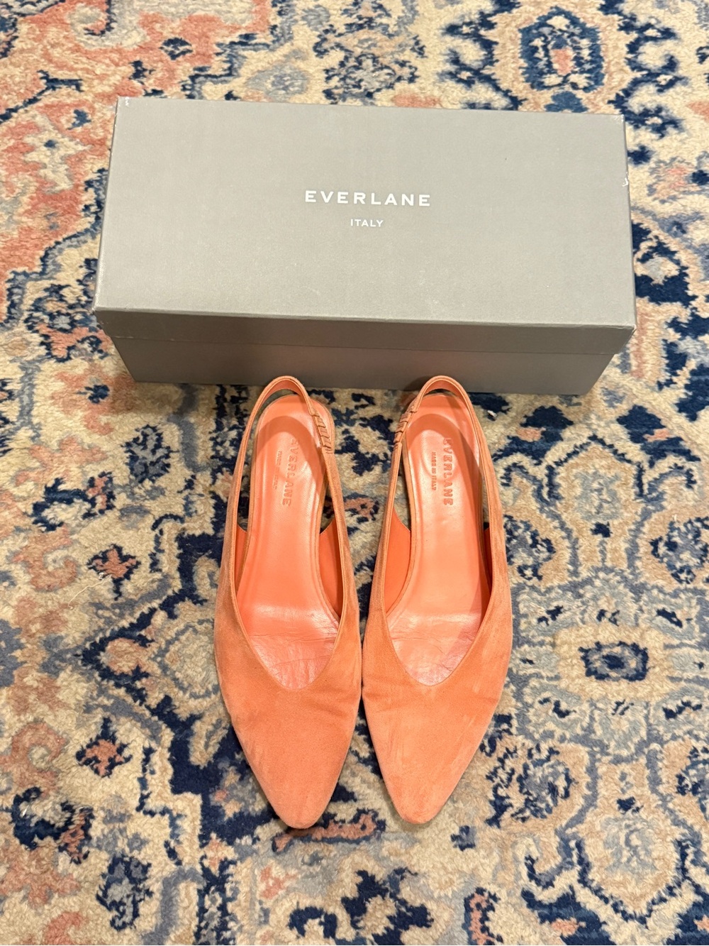 Everlane Women’s Coral Suede Pointed-Toe v Slingback Flats